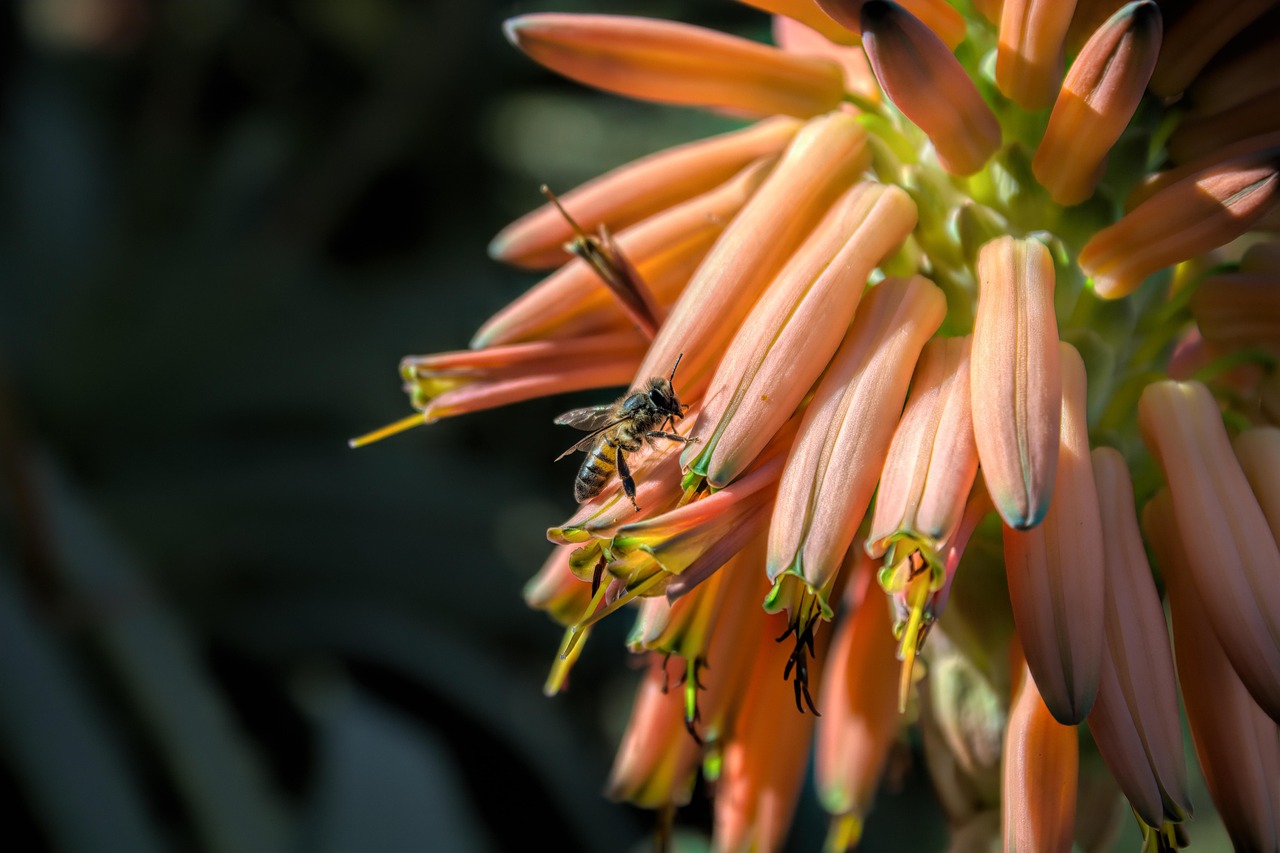 Community background scene